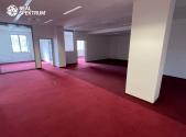 Pronájem - kanceláře, 221 m²