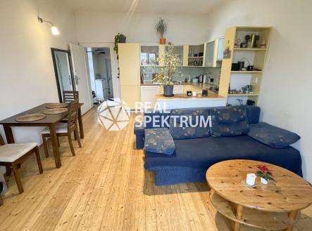 pronajem_byt_kamenickova_03 | Pronájem bytu, 2+1, 89 m²