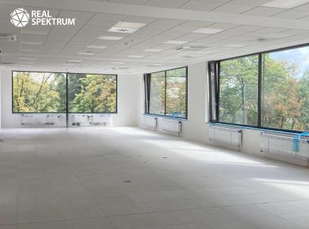 518115931_1606668013594060_6512496224404998354_n | Pronájem - kanceláře, 613 m²