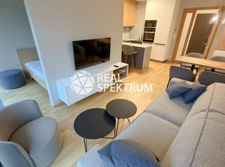 pronajem_byt_sumavska_05 | Pronájem bytu, 1+kk, 43 m²