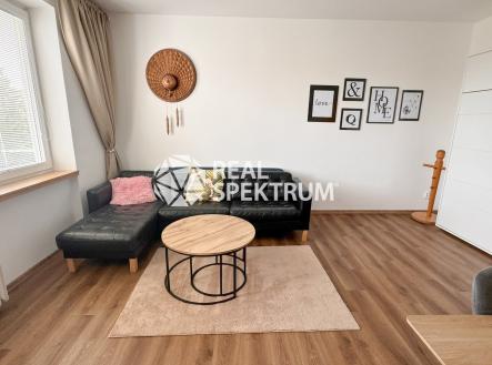 pronajem-byt-kridlovicka-04 | Pronájem bytu, 2+1, 55 m²