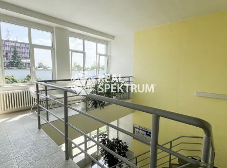 kancelar-dusikova-pronajem-07 | Pronájem - kanceláře, 37 m²