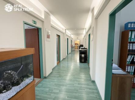 Pronájem KA Bohunická_03 | Pronájem - kanceláře, 370 m²