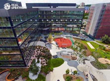 190619_IMG_0513_res | Pronájem - kanceláře, 535 m²