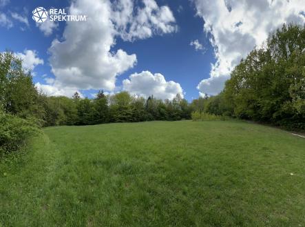 Prodej - pozemek pro bydlení, 4 838 m² obrázek