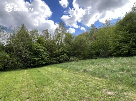 IMG_5904 | Prodej - pozemek pro bydlení, 4 838 m²