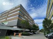Pronájem - kanceláře, 725 m²