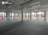 Pronájem - kanceláře, 571 m²