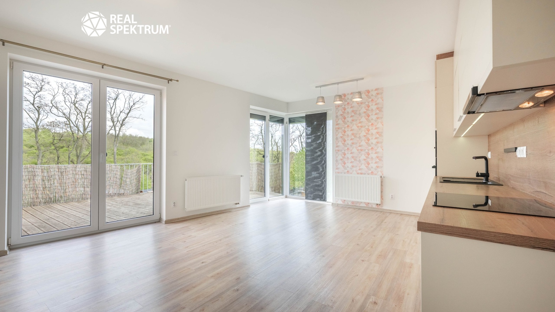 REALSPEKTRUM I HAJANY 190-6