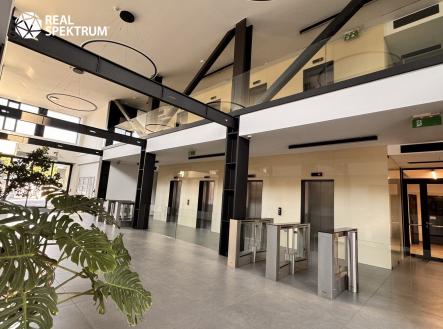 IMG_E7762 | Pronájem - kanceláře, 191 m²