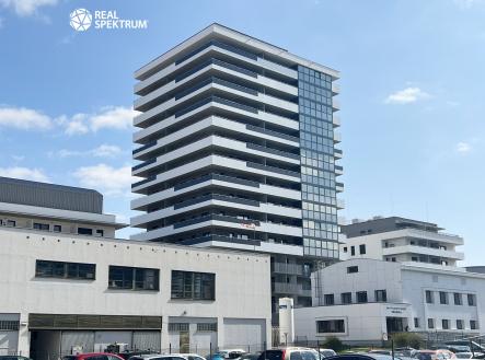 pronajem_byt_bratislavska_spolecne_prostory_11 | Pronájem bytu, 2+kk, 92 m²