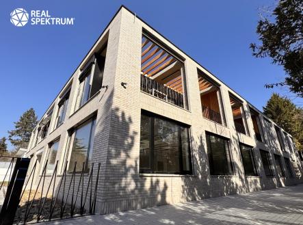 Pronájem_Lipová-Grula_21 | Pronájem - kanceláře, 223 m²
