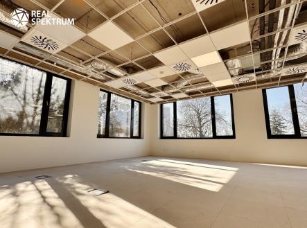 Pronájem_Lipová-Grula_19 | Pronájem - kanceláře, 223 m²