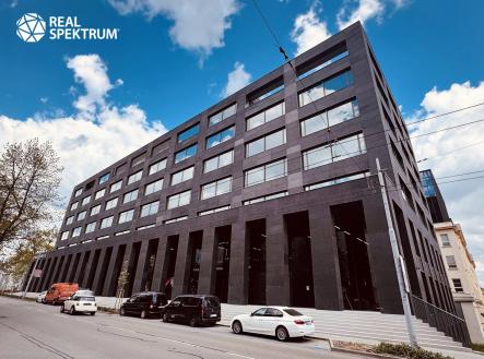 IMG_0987 | Pronájem - kanceláře, 241 m²