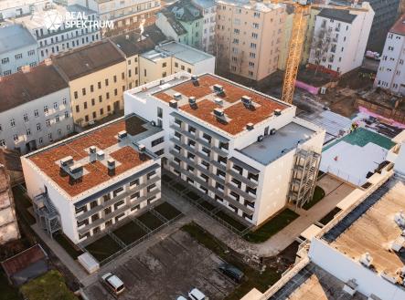 fotka1-8 | Pronájem bytu, 1+kk, 31 m²