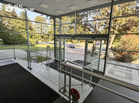IMG_E5924 | Pronájem - kanceláře, 313 m²