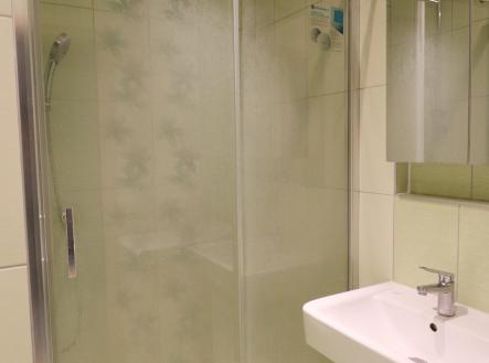 IMG_2852 | Pronájem bytu, 1+kk, 30 m²