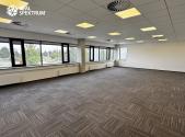 Pronájem - kanceláře, 294 m²