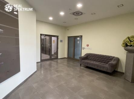 IMG_E6664 | Pronájem - kanceláře, 302 m²