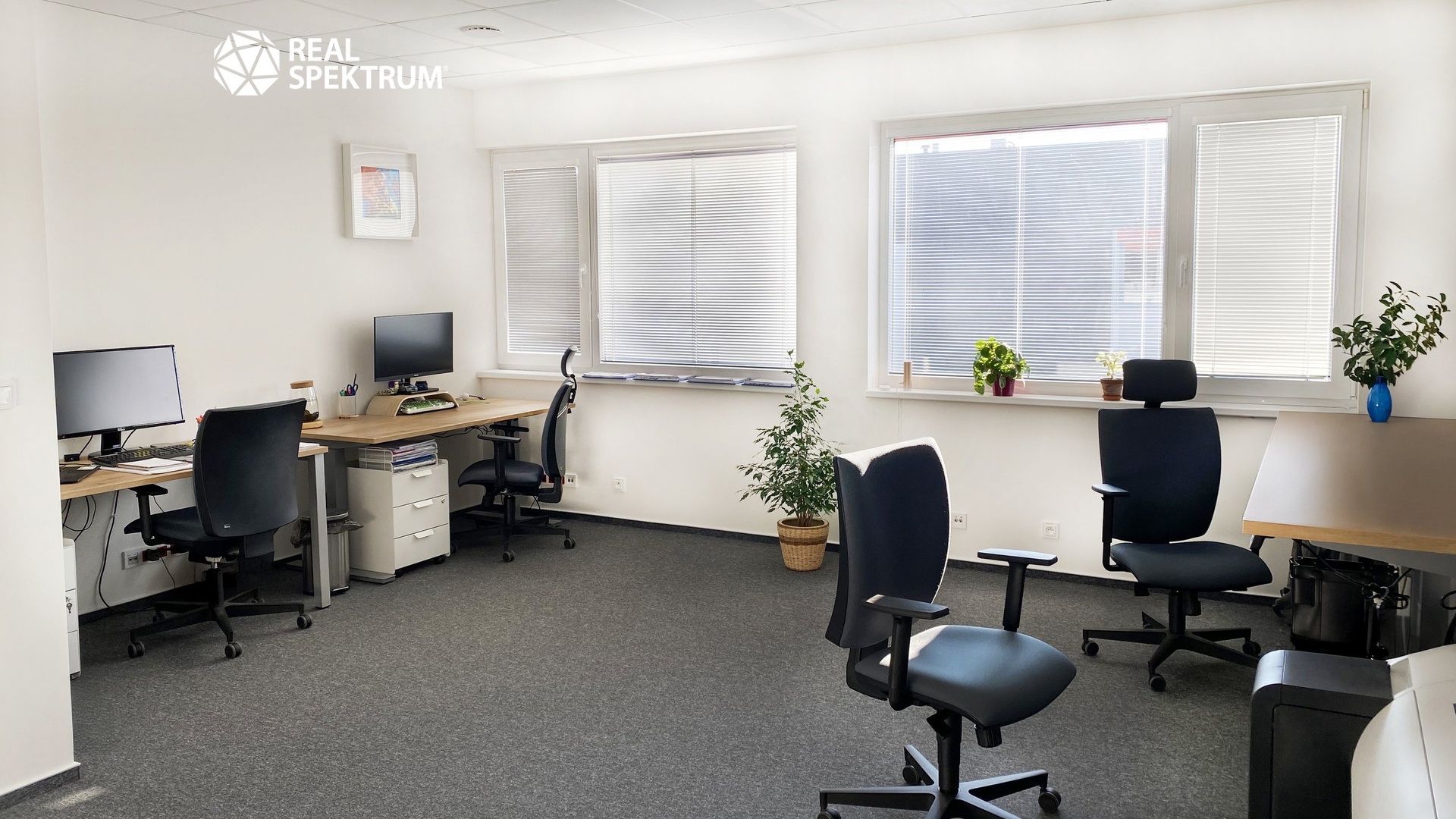 pronájem_ka_SMARTZONE D1_02