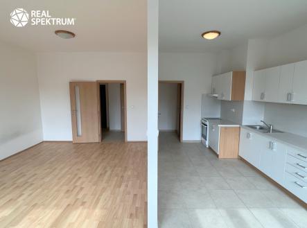 IMG_8475 | Pronájem bytu, 1+1, 46 m²