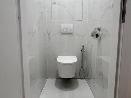 pronajem_byt_2+1_Borodinova_13 | Pronájem bytu, 2+1, 60 m²