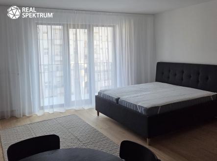 Byt Pekárenský dvůr 1+kk (3) | Pronájem bytu, 1+kk, 47 m²
