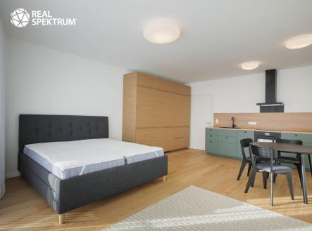RS I BRATISLAVSKA 80, BRNO-51 | Pronájem bytu, 1+kk, 47 m²