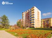 Prodej bytu, 3+1, 77 m²