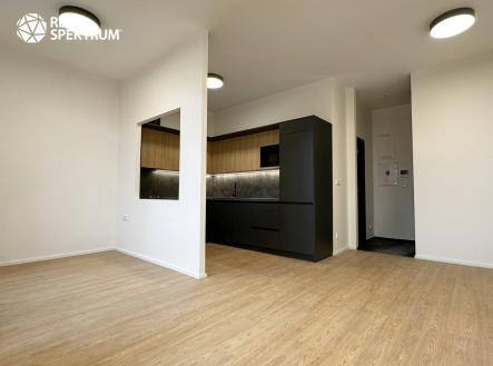 IMG_2556 | Pronájem bytu, 1+kk, 32 m²