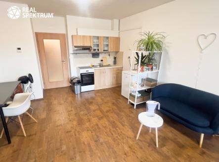 IMG_0788 | Pronájem bytu, 1+kk, 35 m²