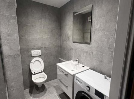 Messenger_creation_CC9A6DC3-A657-4BFD-A532-2596FFD8CA89(1) | Pronájem bytu, 1+1, 34 m²