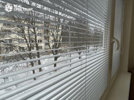 IMG_0410 | Pronájem bytu, 1+1, 33 m²