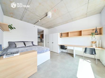 05 copy | Pronájem bytu, 1+kk, 24 m²