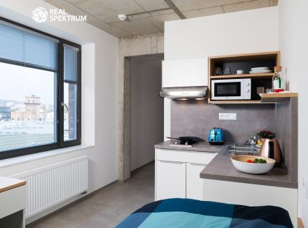 Domeq_Single-Room_0572 | Pronájem bytu, 1+kk, 24 m²