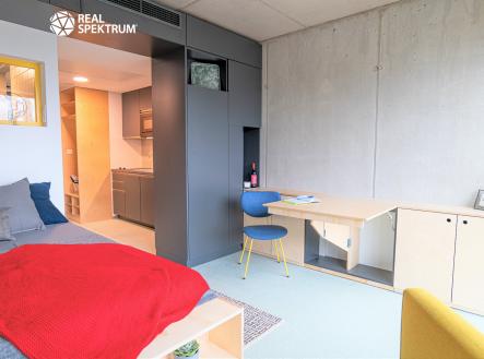 2 (1) | Pronájem bytu, 1+kk, 24 m²