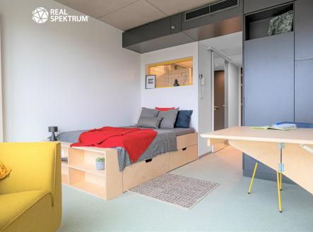 3 (1) | Pronájem bytu, 1+kk, 24 m²