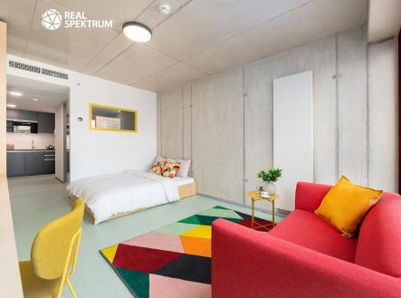 DSC_7121-Edit | Pronájem bytu, 1+kk, 24 m²