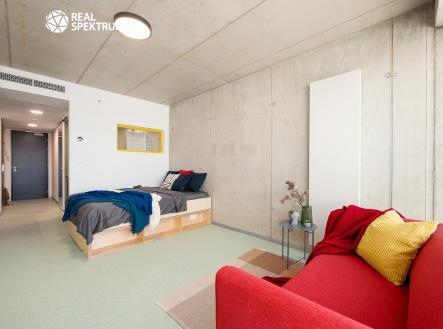 DSC_5676-Edit | Pronájem bytu, 1+kk, 27 m²