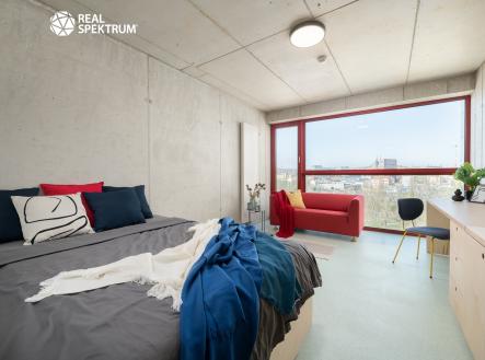 DSC_5658-Edit | Pronájem bytu, 1+kk, 27 m²