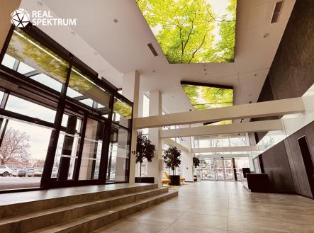 Babák office (34) | Pronájem - kanceláře, 295 m²