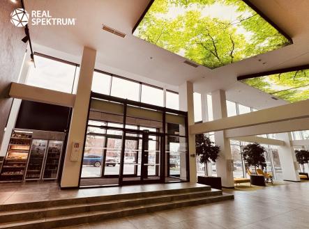 Babák office (32) | Pronájem - kanceláře, 408 m²