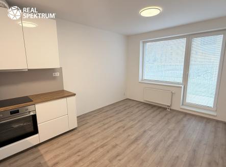IMG_3679 | Pronájem bytu, 1+kk, 44 m²