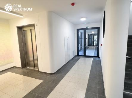 pronajem_byt_1+kk_spolkova_16 | Pronájem bytu, 1+kk, 44 m²