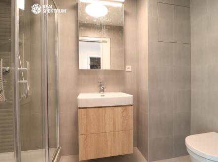 IMG_6491 | Pronájem bytu, 1+kk, 42 m²