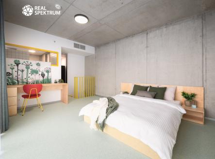 DSC_9229-Edit-Edit | Pronájem bytu, 2+kk, 49 m²