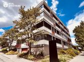 Pronájem - kanceláře, 539 m²