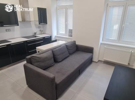 Byt č. 422 - inzerce - vybavení (1) | Pronájem bytu, 2+kk, 46 m²