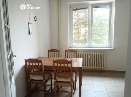 Hochmanova 2 | Pronájem bytu, 1+1, 42 m²