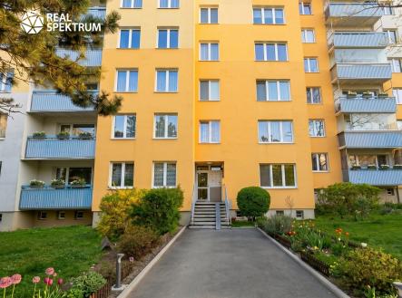 Hochmanova  | Pronájem bytu, 1+1, 42 m²